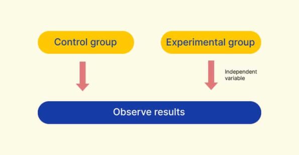 the controlled experiment meaning