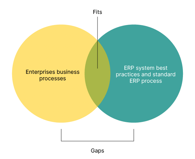 Fit-Gap Analysis: Bridging Organizational Challenges